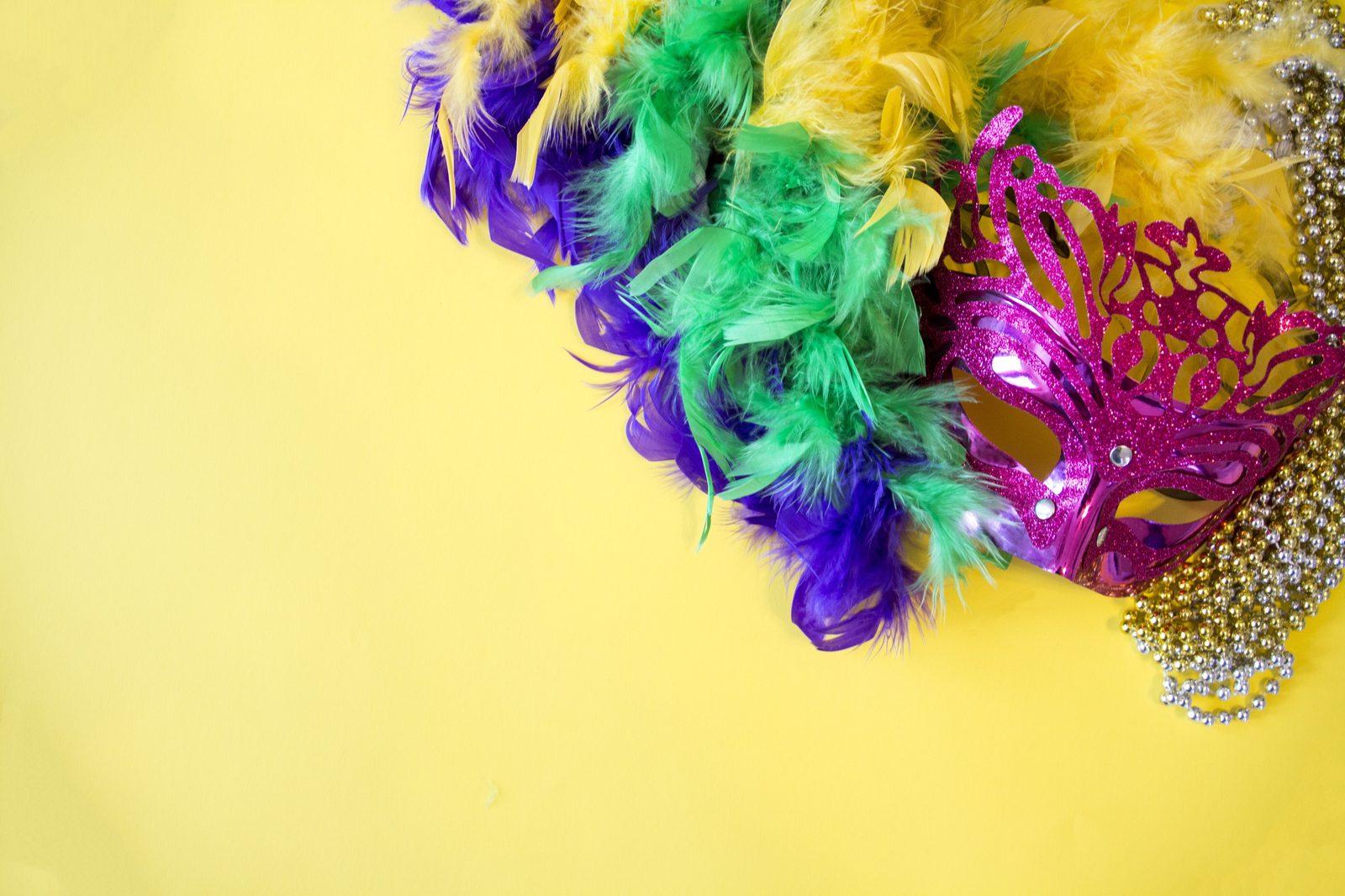 Mardi Gras mask