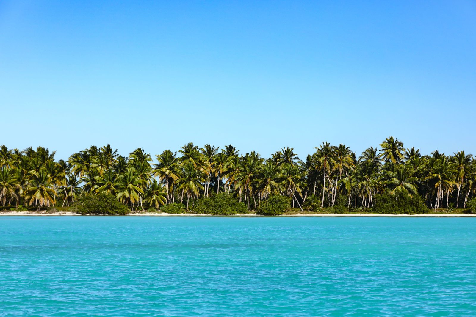 Tropical island with palm trees and turquoise water
